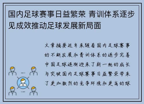 国内足球赛事日益繁荣 青训体系逐步见成效推动足球发展新局面